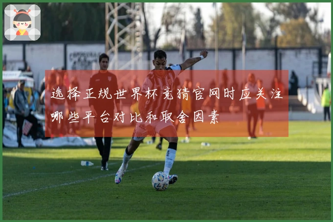 选择正规世界杯竞猜官网时应关注哪些平台对比和取舍因素