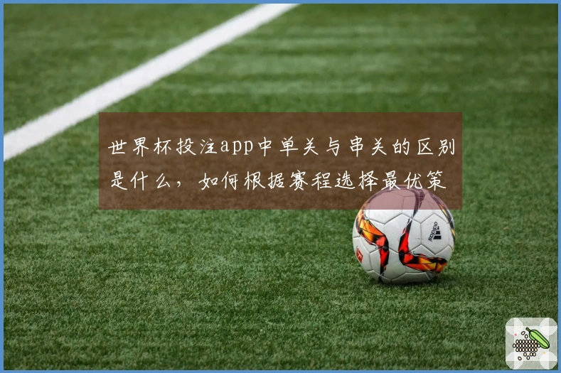 世界杯投注app中单关与串关的区别是什么，如何根据赛程选择最优策略？
