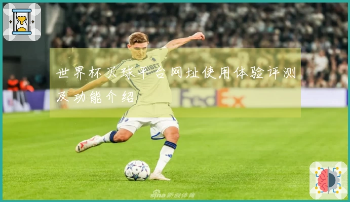 世界杯买球平台网址使用体验评测及功能介绍