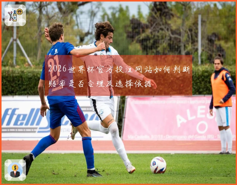 2026世界杯官方投注网站如何判断赔率是否合理及选择依据