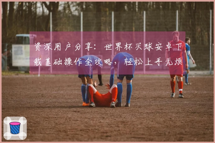 资深用户分享：世界杯买球安卓下载基础操作全攻略，轻松上手无烦恼