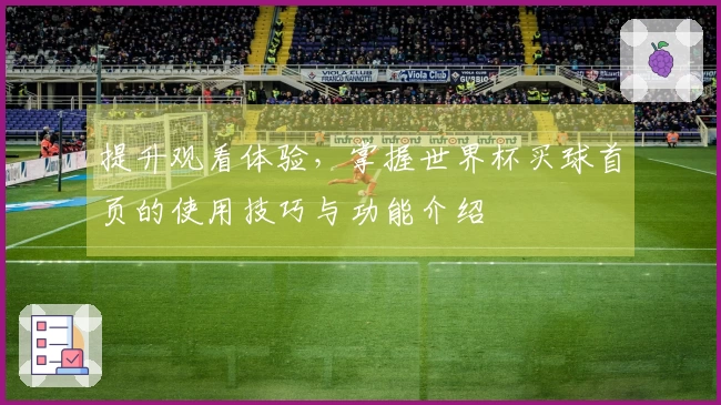 提升观看体验，掌握世界杯买球首页的使用技巧与功能介绍