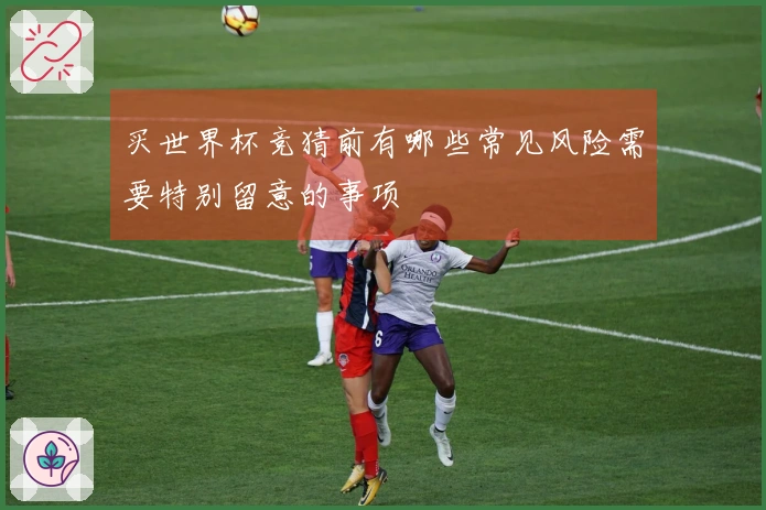 买世界杯竞猜前有哪些常见风险需要特别留意的事项
