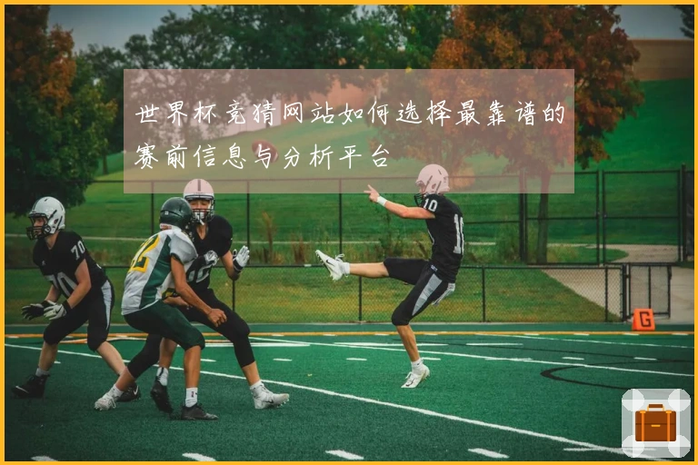 世界杯竞猜网站如何选择最靠谱的赛前信息与分析平台