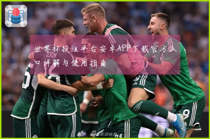 世界杯投注平台安卓APP下载官方入口详解与使用指南
