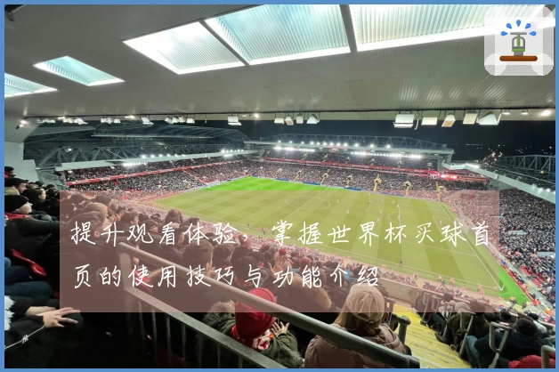 提升观看体验，掌握世界杯买球首页的使用技巧与功能介绍