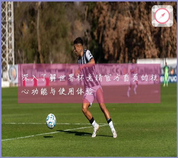 深入了解世界杯竞猜官方首页的核心功能与使用体验