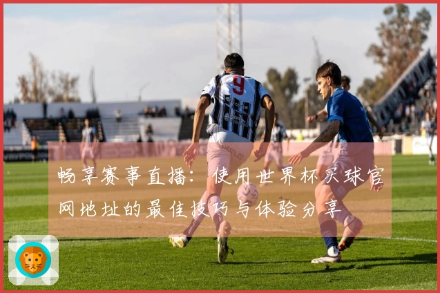 畅享赛事直播：使用世界杯买球官网地址的最佳技巧与体验分享